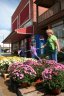 Flowers at Simmons Center Market, a family-run general store since 1937. 